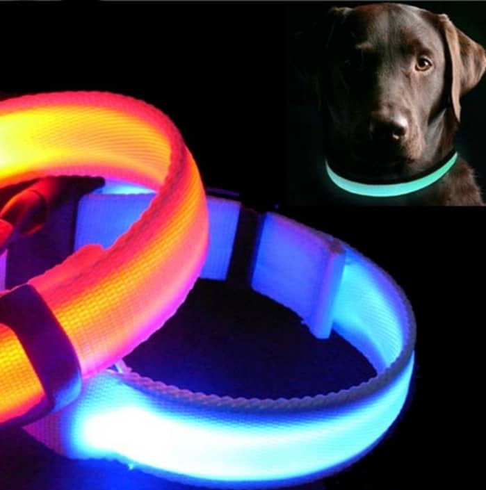 Cooles LED Nylon Hundehalsband (S, M, L, XL) ab nur 1,41 Euro (gratis Versand) …