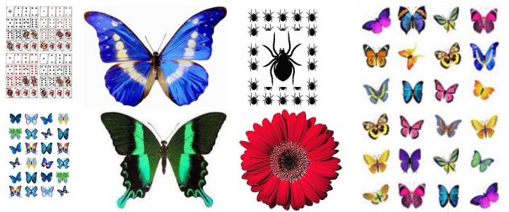 Tortendeko-Deko-essbare Schmetterlinge-Gadget-Gadgets-günstig