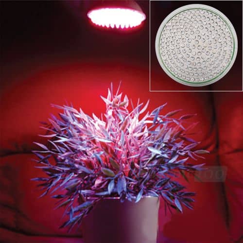 Grow-LED-Panel-Growbedarf-bester Preis-Import-LED Pflanzenlich-Pflanzen-Herer