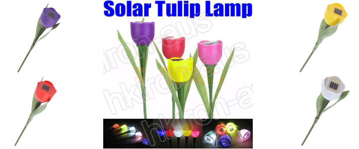 Solar-Tulpe-LED Deko-günstig kaufen-discount-China-Shop-Gadget