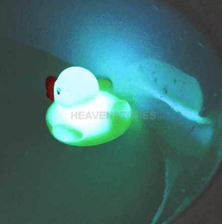 Schnatter! Wasserdichte LED Mini Ente für Badewanne, Pool, Gartenteich usw. mit Farbwechsel nur 1,22 € …