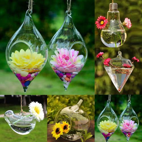 Die Qual der Wahl! Vasen aus Glas ab nur 1,31 Euro inkl. Versand pro Stück!