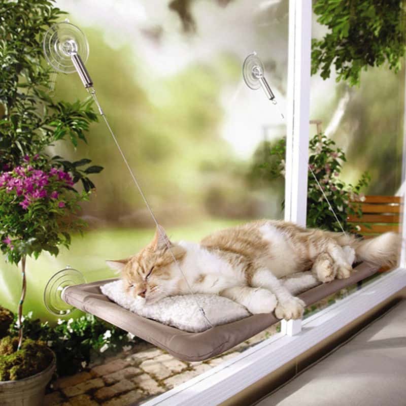 Katzenbett / Katzen-Hängematte an der Fensterscheibe?