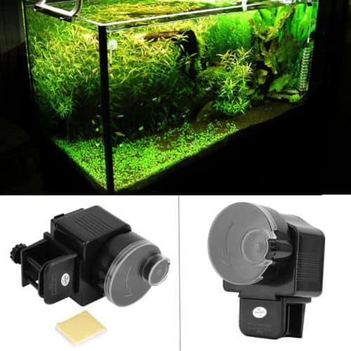 Der günstige Futterautomat fürs Aquarium! Mechanisch oder digital mit LCD?