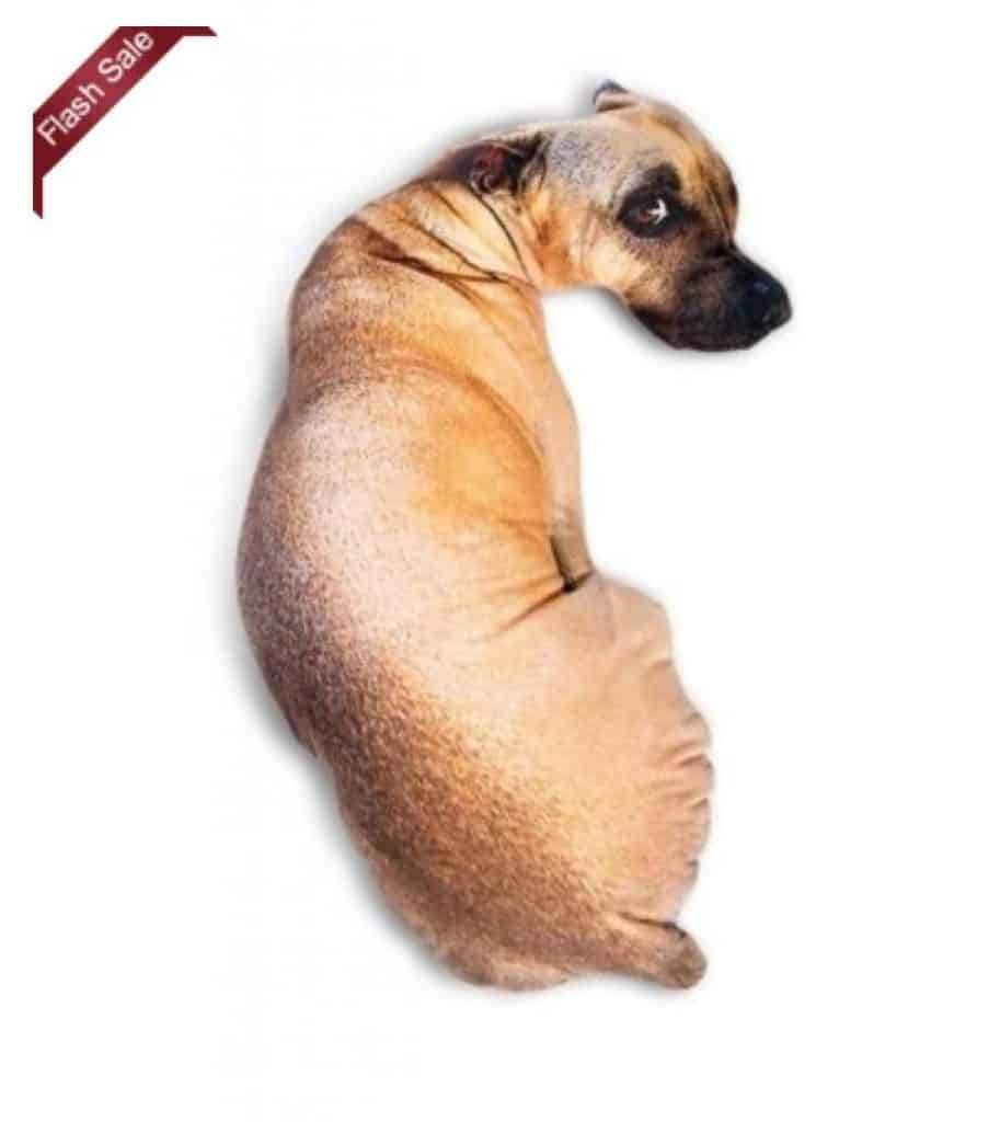 Der Hund als 3DKissen (50cm x 32cm) im Flash Sale für 8,37 Euro inkl