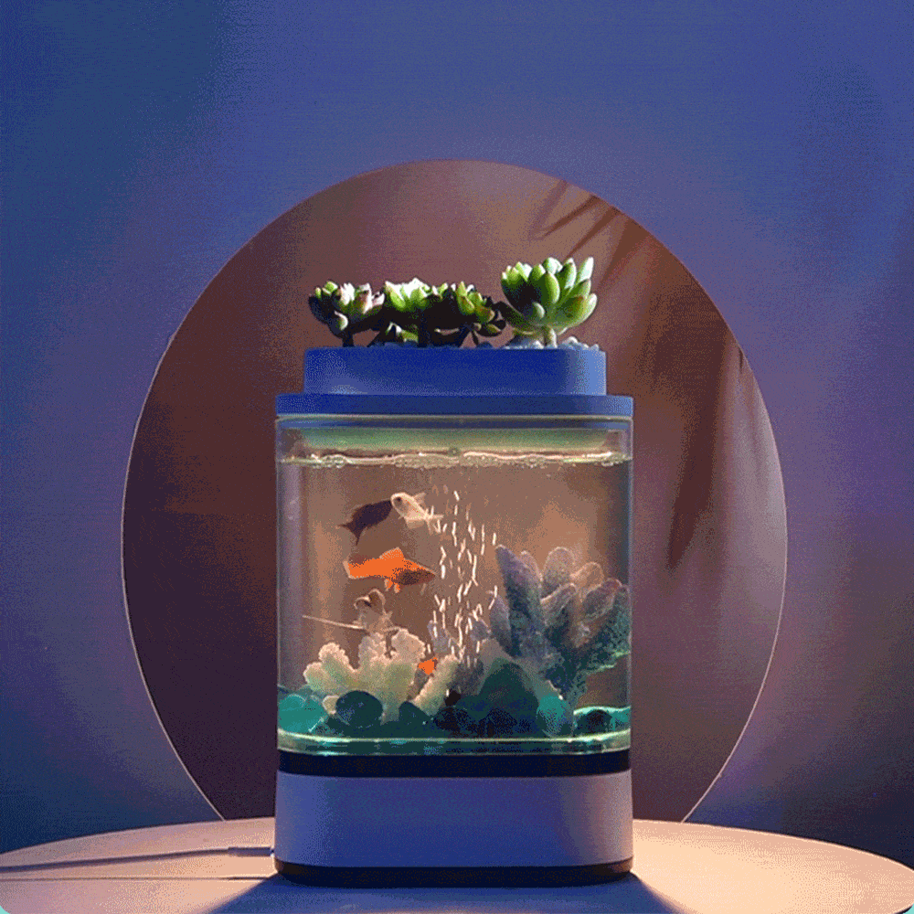 5 Liter (Pflanzen) Aquarium mit integrierter Beleuchtung und