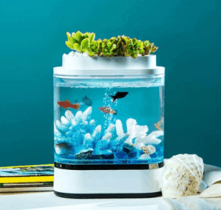 5 Liter (Pflanzen) Aquarium mit integrierter Beleuchtung und Sprudler