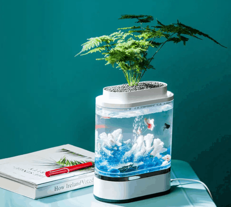 5 Liter (Pflanzen) Aquarium mit integrierter Beleuchtung und Sprudler 
