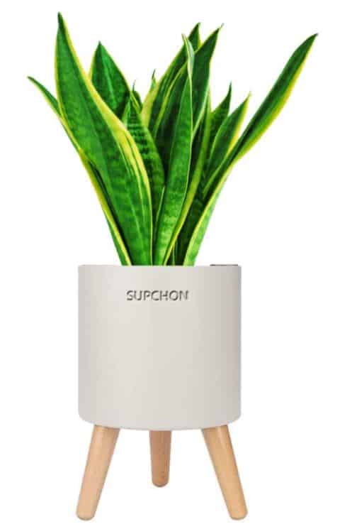 SUPCHON Smart Blumentopf mit Selbstbewässerungs- und Drainagesystem für nur 14,99€