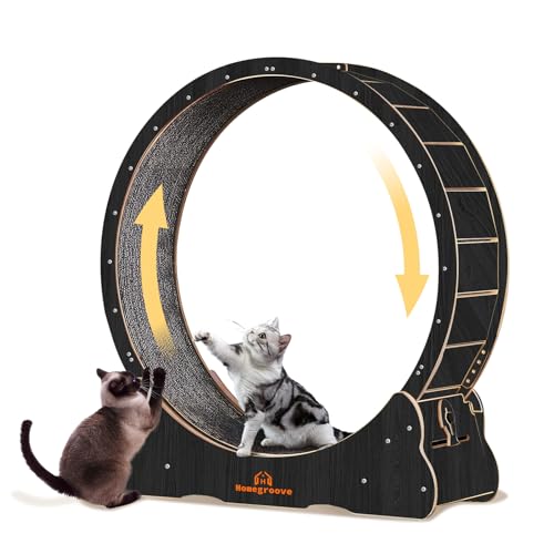 Homegroove Katzenlaufrad XL für 121,99€