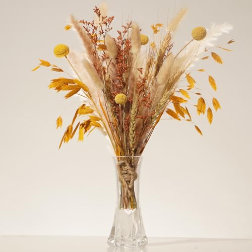 Herbstdeko Highlight: Pampasgras für nur 7,94€