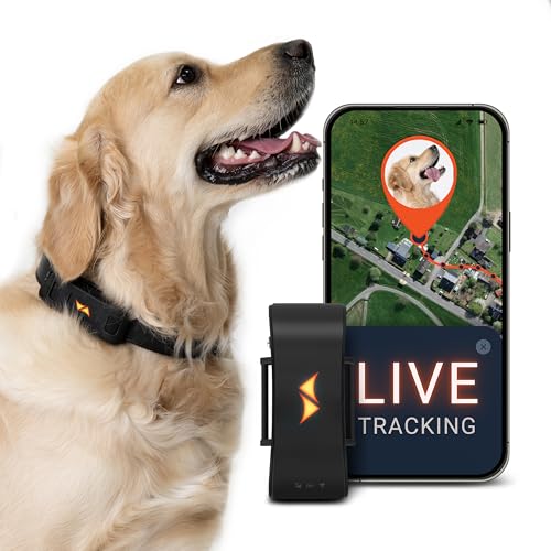 PAJ GPS Tracker für Hunde